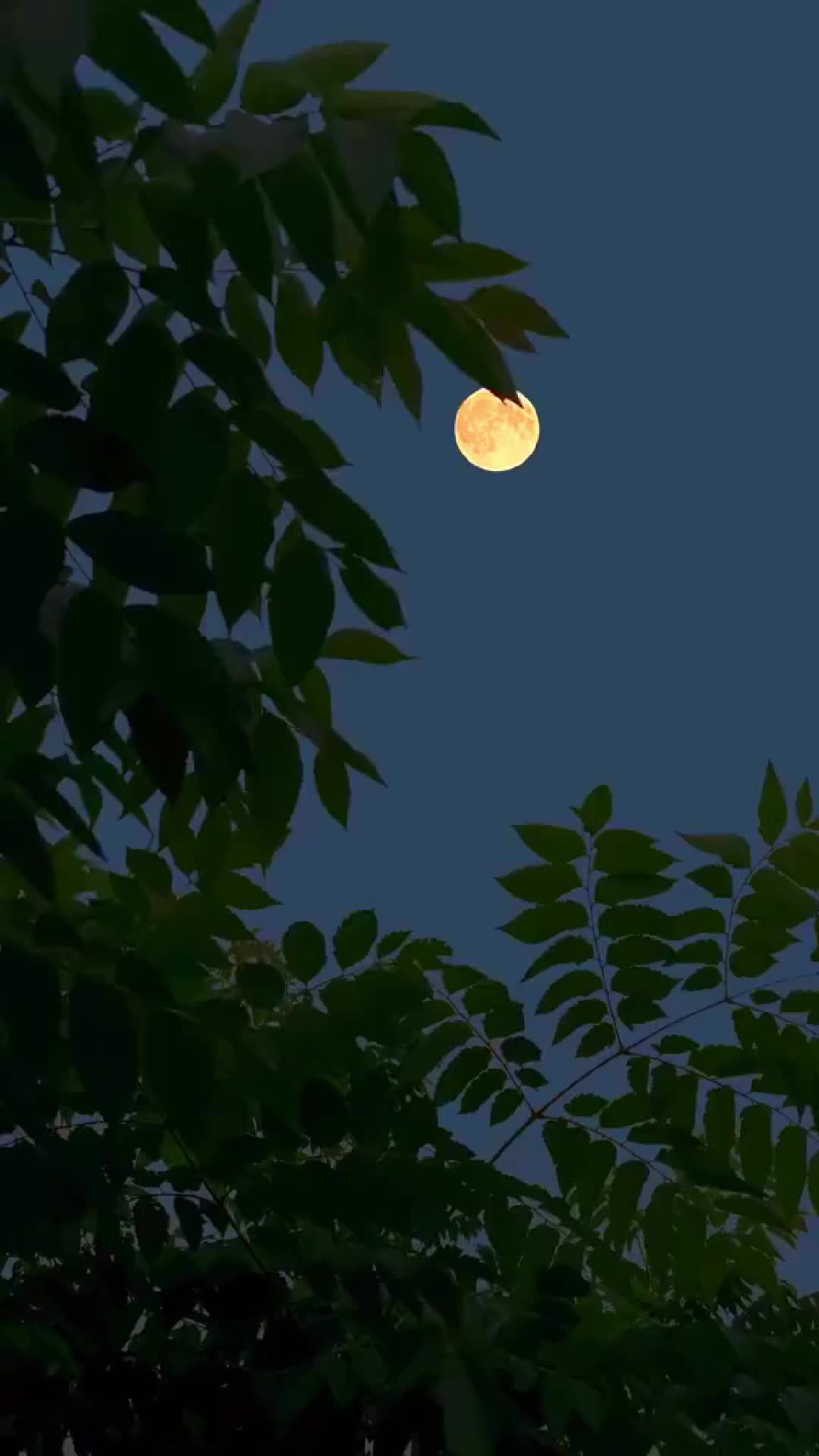 Episode 2 - Debar Cinta Penuh Rintangan