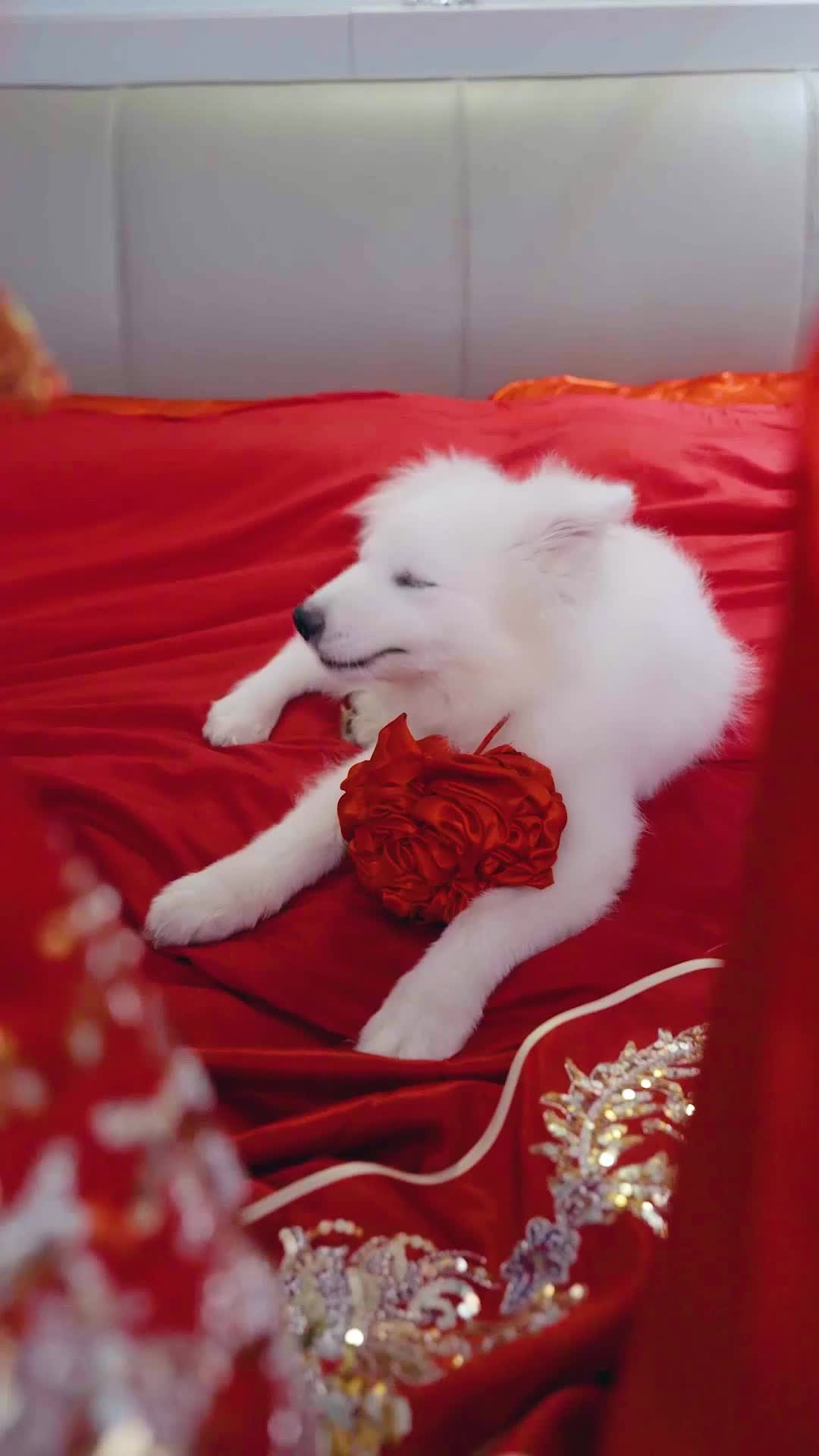 Episodio 12 - Mi extraña esposa sabe magia