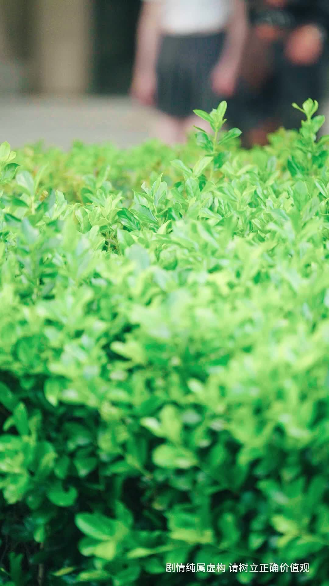 Episode 14 - Swapped Destinies: Love's Hidden Path