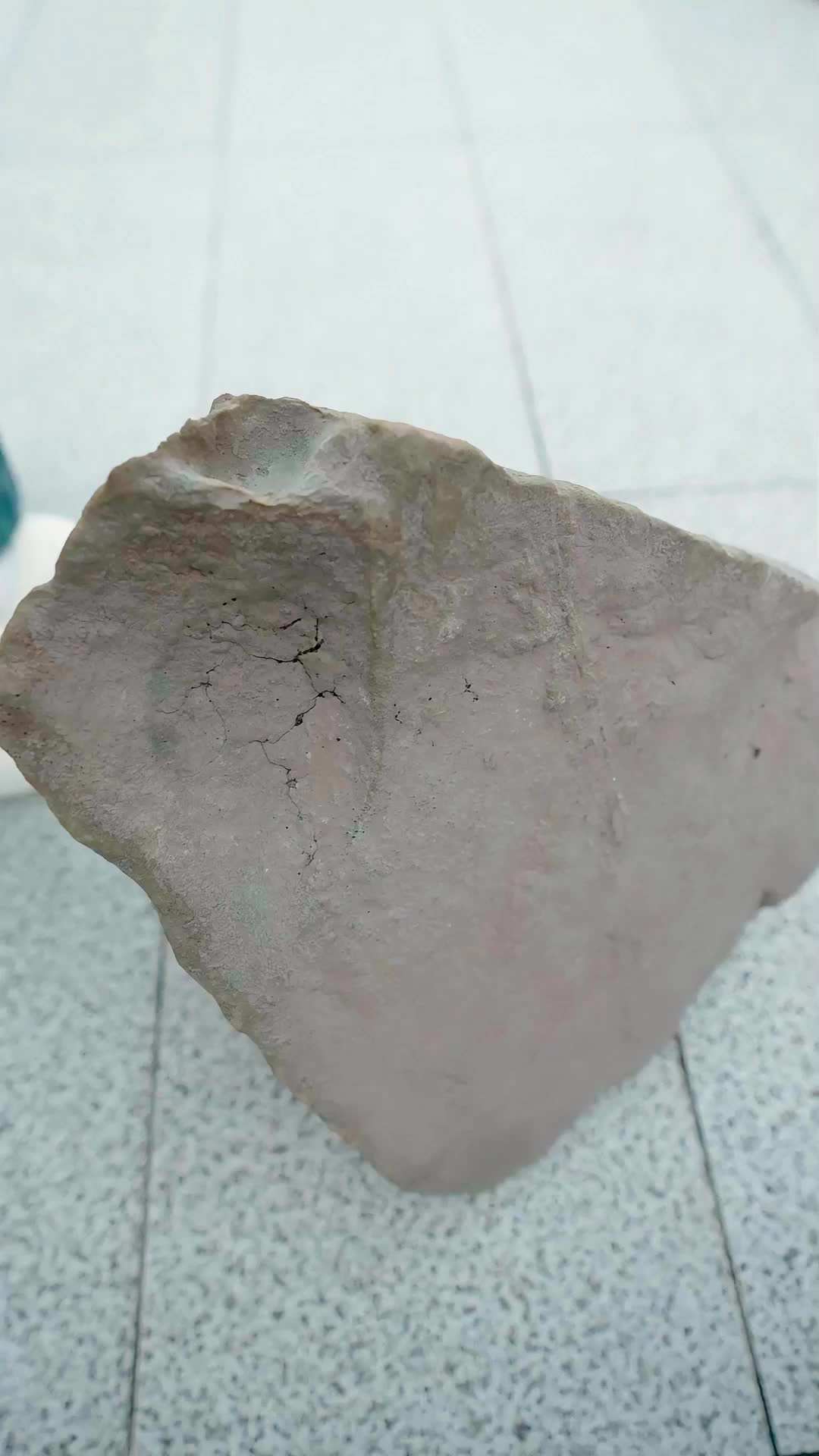 Episode 1 - Flash Marriage with a Big Shot