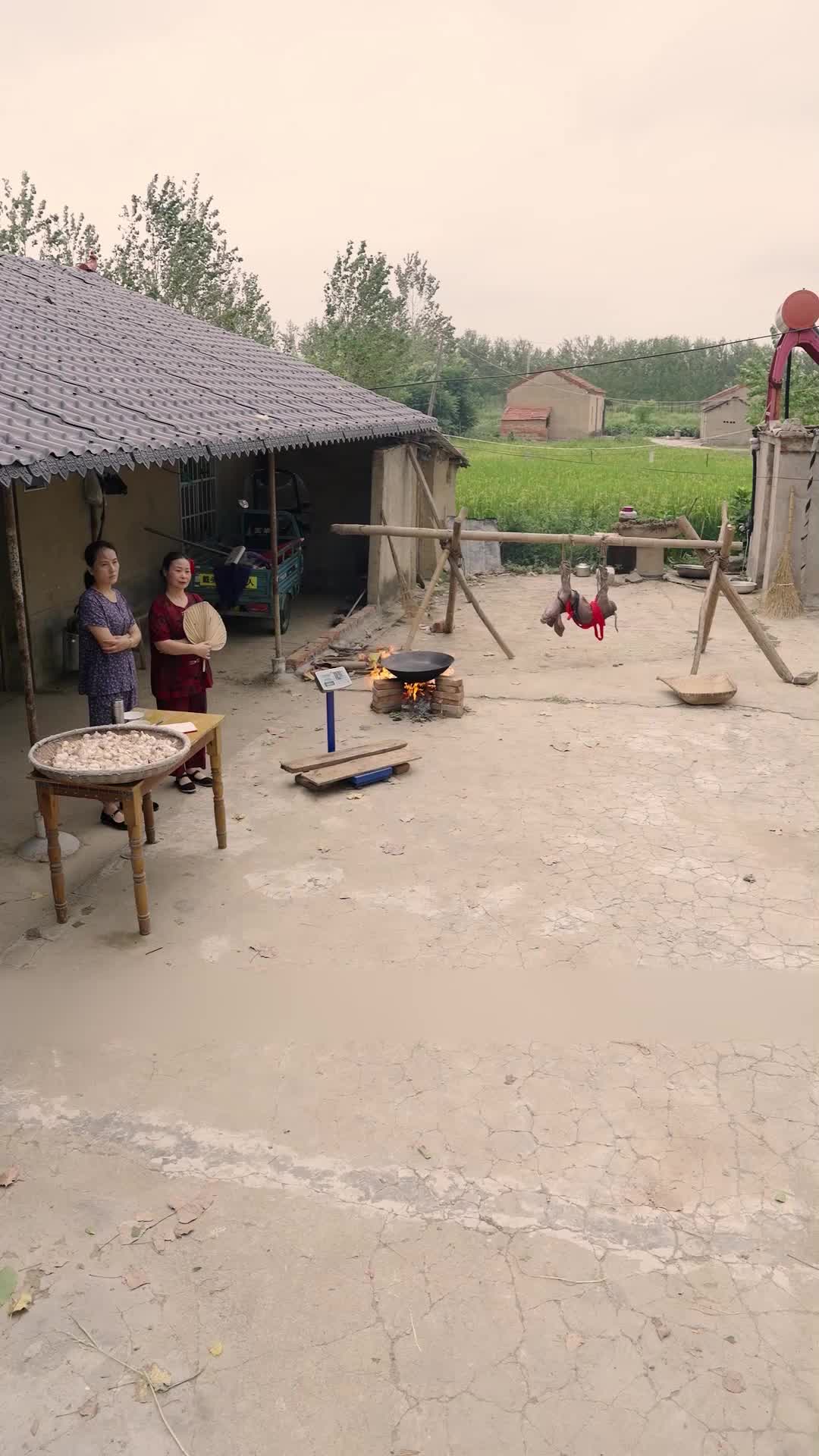 Episode 3 - The Mountain Teacher