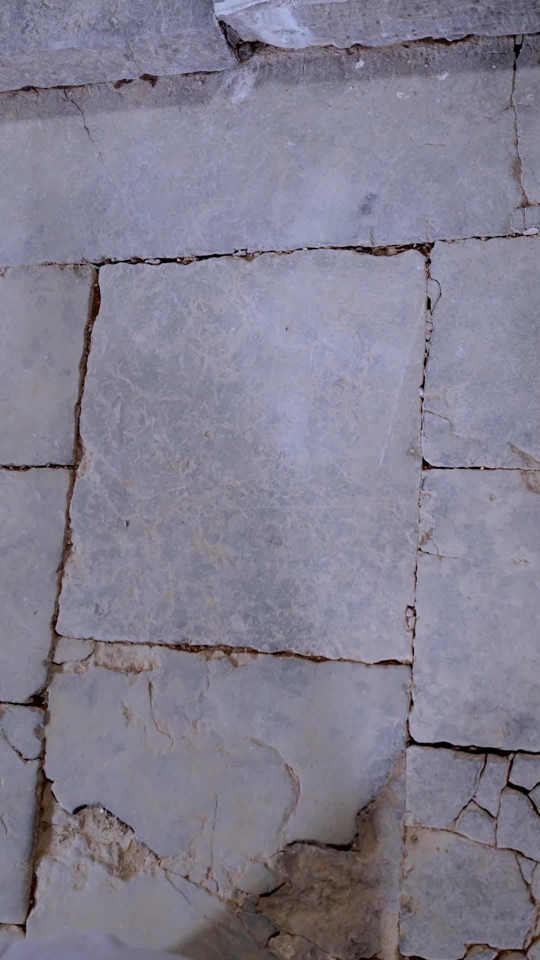 EP. 5 - วีรบุรุษเขาซงซาน