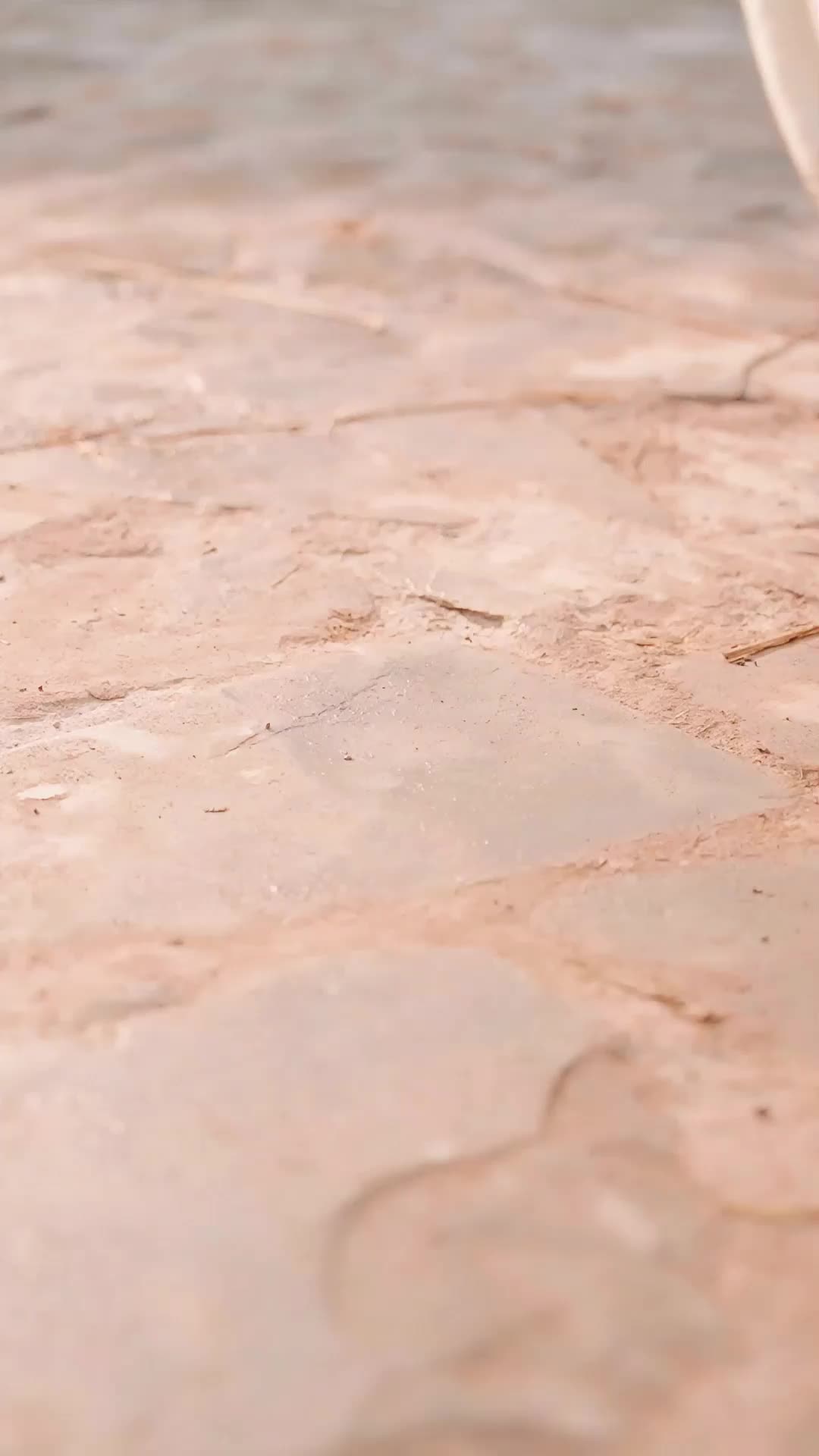 第10集